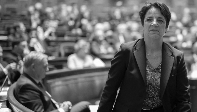 Agnès Canayer est la rapporteure du texte de la loi sur les ingérences au Sénat.