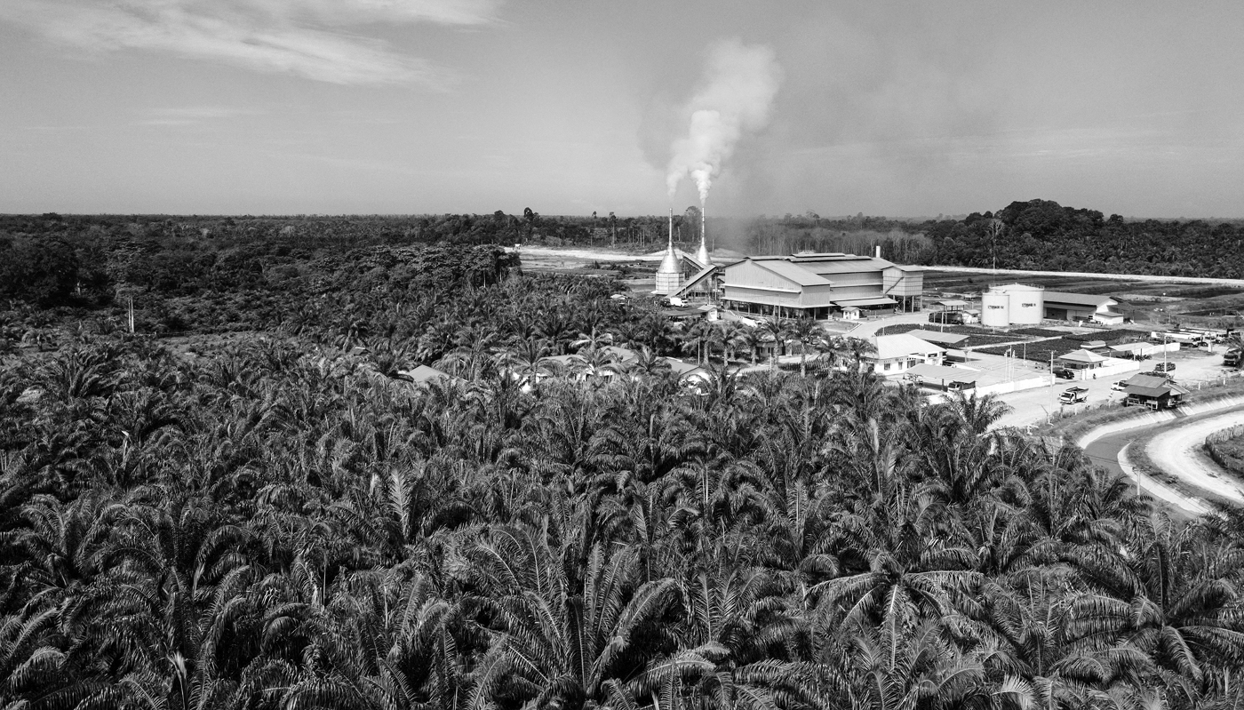 Usine d'extraction d'huile de palme à Meulaboh, côte occidentale de la province d'Aceh, en Indonésie.