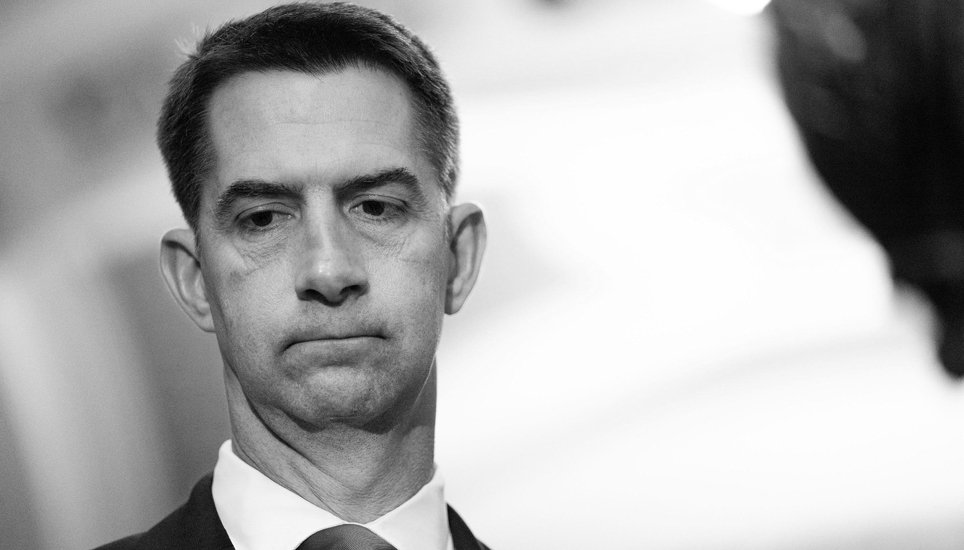 Le sénateur républicain de l'Arkansas, Tom Cotton, préside la commission du renseignement du Sénat américain.