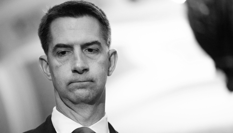 Le sénateur républicain de l'Arkansas, Tom Cotton, préside la commission du renseignement du Sénat américain.