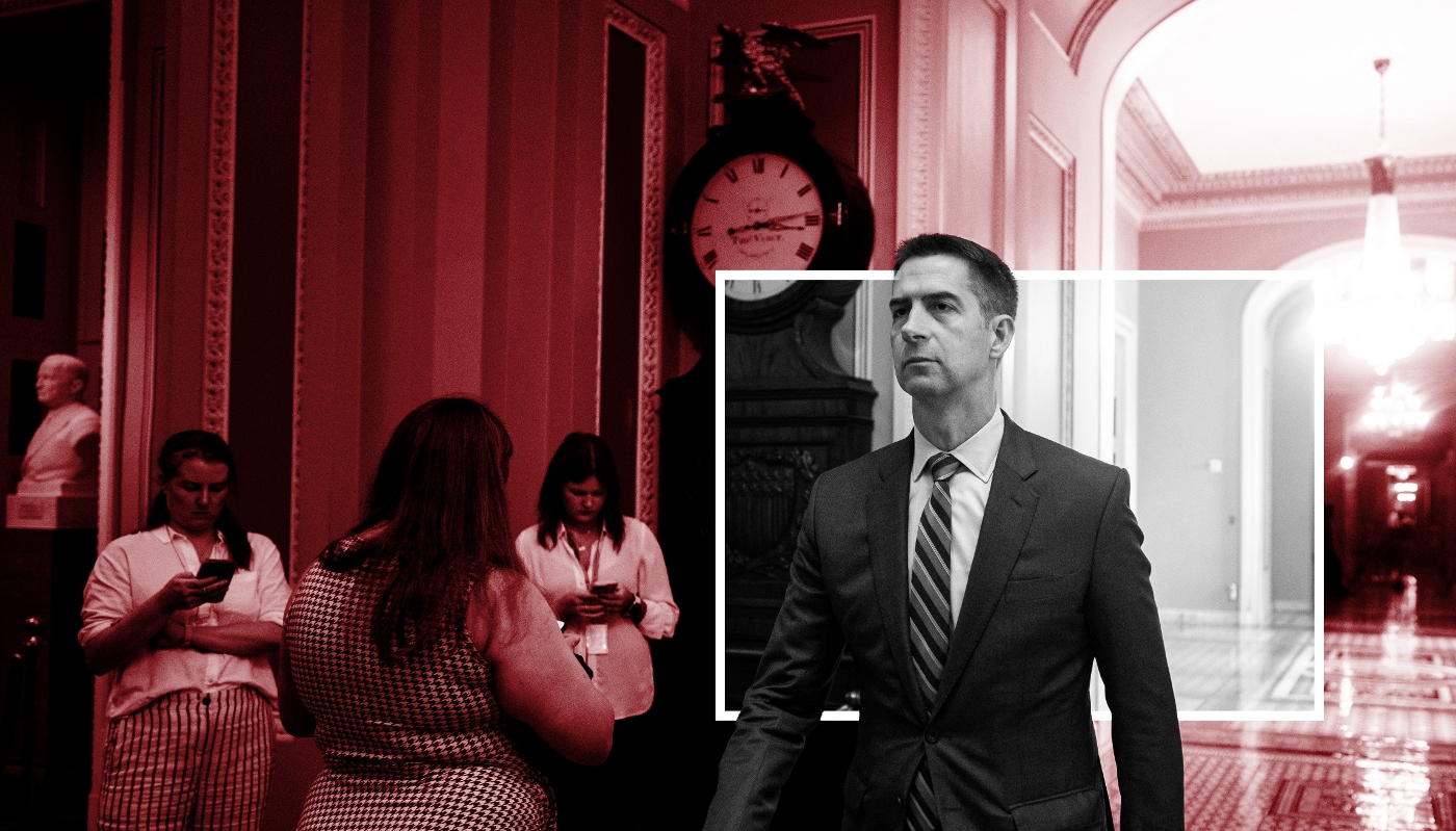 Tom Cotton, président de la commission du renseignement du Sénat américain.