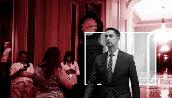 Tom Cotton, président de la commission du renseignement du Sénat américain.