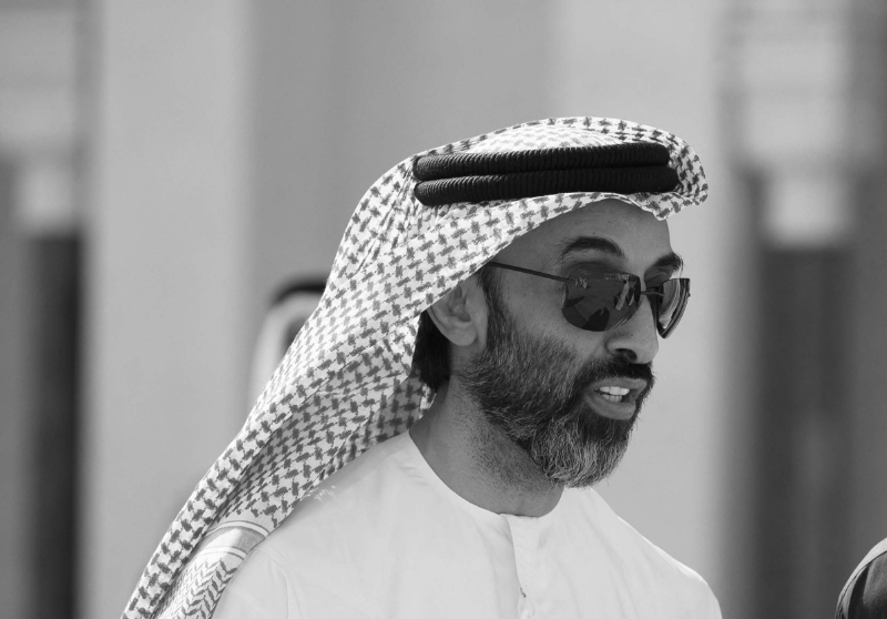 Tahnoon bin Zayed.